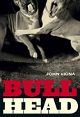 Bull Head by John Vigna