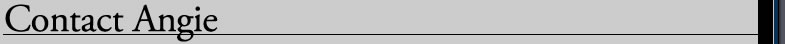 Contact Angie