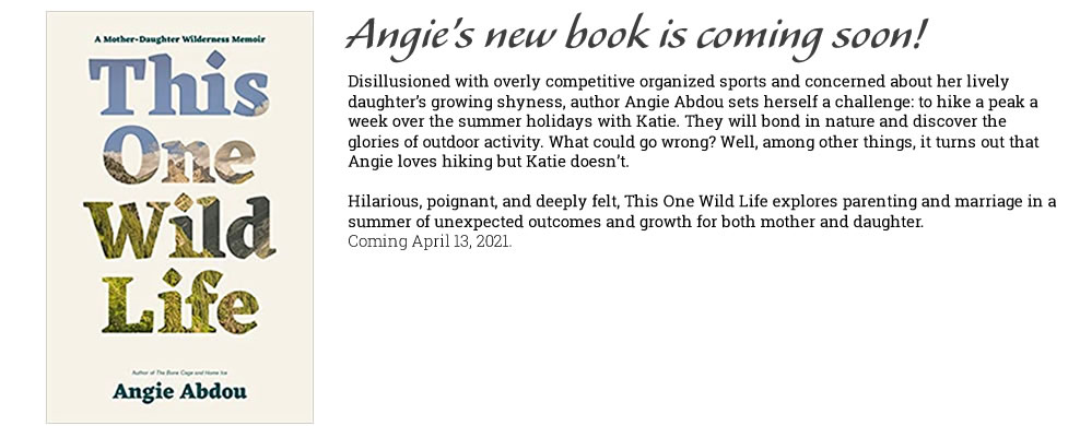 Angie Abdou's Newest Book